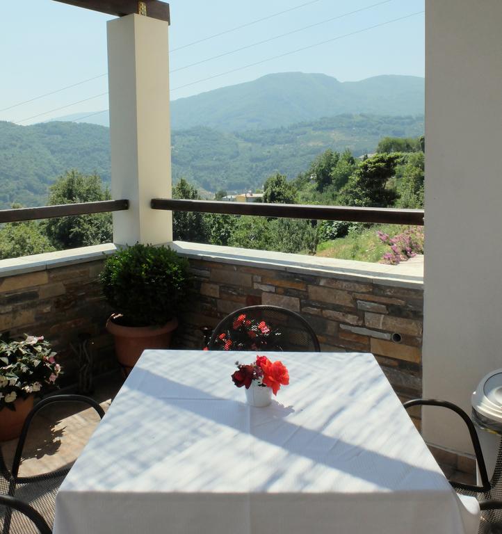 Guesthouse Kapaniaris Zagora Exteriér fotografie