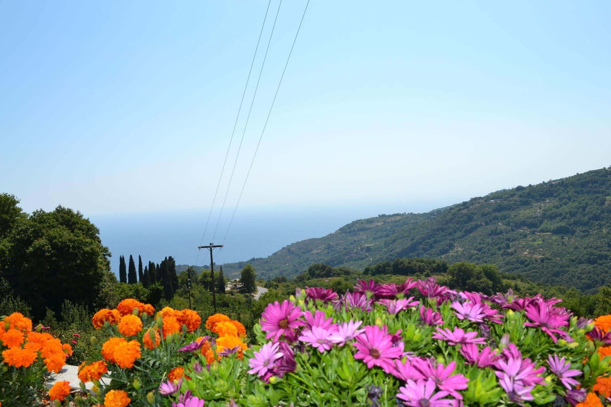 Guesthouse Kapaniaris Zagora Exteriér fotografie